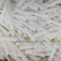 Plastic Nozzle